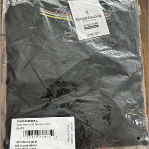 Smartwool - Men's Merino 250 Baselayer Crew